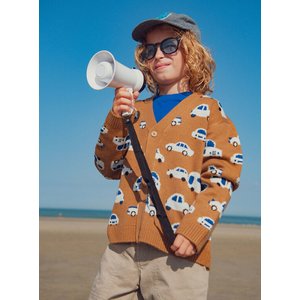 Παιδική Ζακέτα για Αγόρια Brown Cars