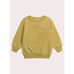 Παιδικό Φούτερ για Αγόρια Yellow T-Rex