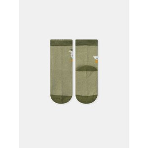 Βρεφικές Κάλτσες για Αγόρια Green Goose