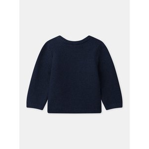 Βρεφικό Πουλόβερ για Αγόρια Navy French