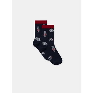 Σετ Παιδικές Κάλτσες για Αγόρια Paris Tokyo 5 τμχ