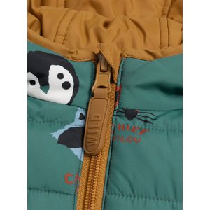 Παιδικό Μπουφάν για Αγόρια Green/Brown Friends - 2 σε 1