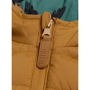 Παιδικό Μπουφάν για Αγόρια Green/Brown Friends - 2 σε 1