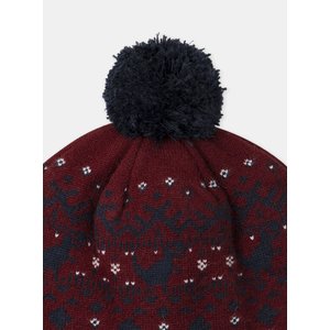 Παιδικός Σκούφος για Αγόρια Burgundy Dino