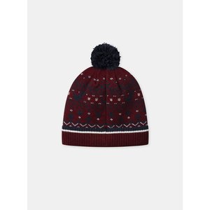 Παιδικός Σκούφος για Αγόρια Burgundy Dino