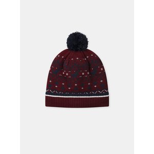 Παιδικός Σκούφος για Αγόρια Burgundy Dino