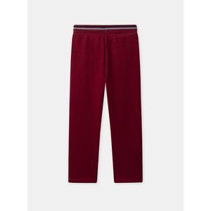 Παιδικό Παντελόνι Φόρμας για Αγόρια Red Dinosaur