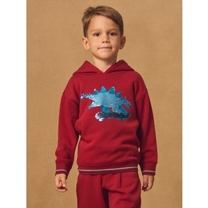 Παιδικό Φούτερ για Αγόρια Red Skater