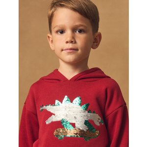 Παιδικό Φούτερ για Αγόρια Red Skater