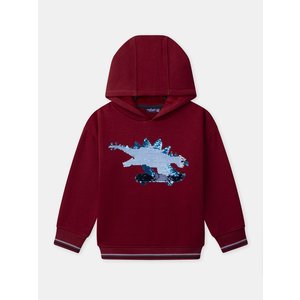 Παιδικό Φούτερ για Αγόρια Red Skater