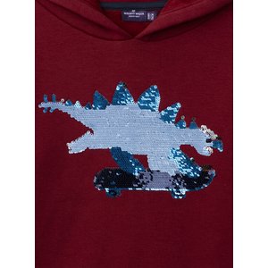 Παιδικό Φούτερ για Αγόρια Red Skater