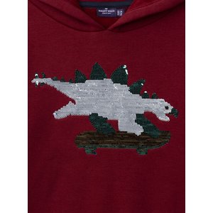 Παιδικό Φούτερ για Αγόρια Red Skater