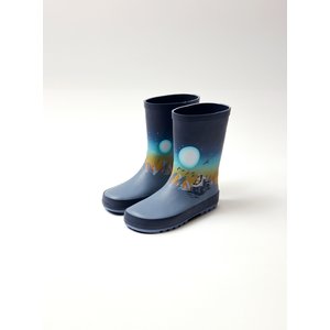 Παιδικές Γαλότσες για Αγόρια